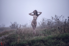 LR_06355