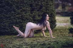 LR_06883
