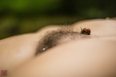 LR_07713