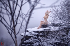 LR_07779