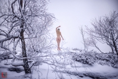 LR_07792