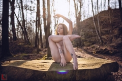 LR_07841