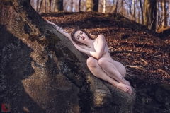 LR_07855