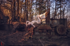 LR_07909