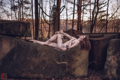 LR_07926