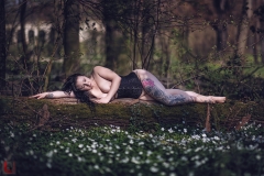 LR_08243