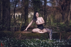 LR_08247