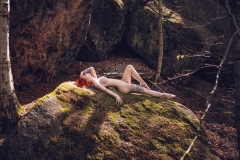LR_08691
