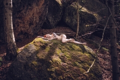 LR_08694