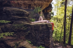 LR_08705