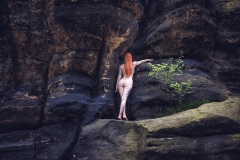 LR_08731