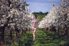 LR_08789