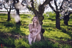 LR_08800