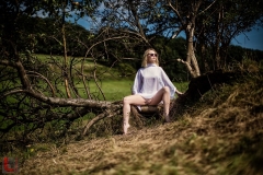 LR_08811