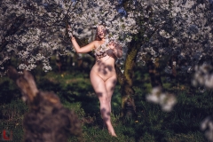 LR_08825