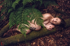 LR_09322