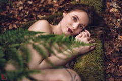 LR_09325