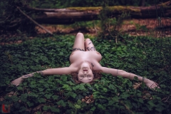 LR_09334