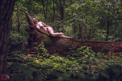 LR_09341