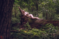 LR_09343