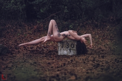 LR_09374