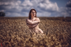 LR_10233