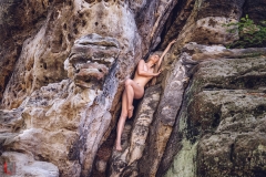LR_10937