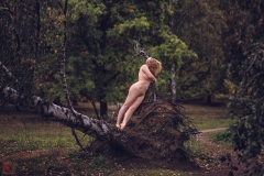 LR_11149