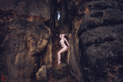 LR_11275