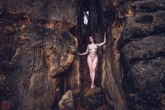 LR_11280