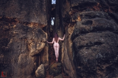 LR_11281