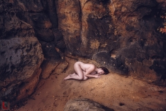 LR_11288