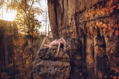 LR_11300