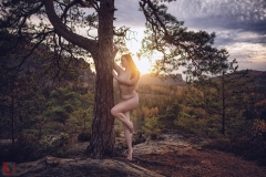 LR_11343