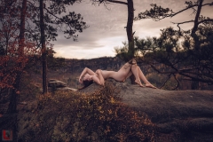 LR_11359