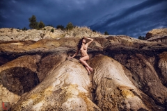 LR_12204
