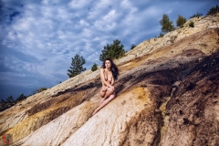 LR_12215