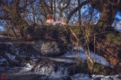 LR_12292