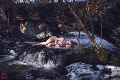 LR_12310
