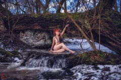 LR_12316