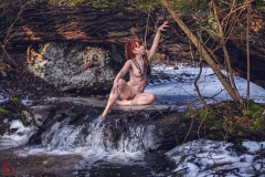 LR_12317