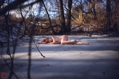 LR_12327