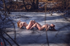 LR_12334
