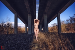 LR_12338