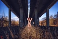 LR_12351