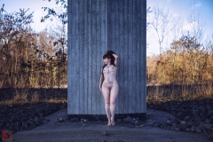 LR_12370