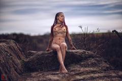 LR_12946