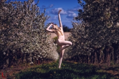LR_13531