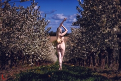 LR_13540
