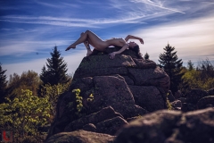LR_13575